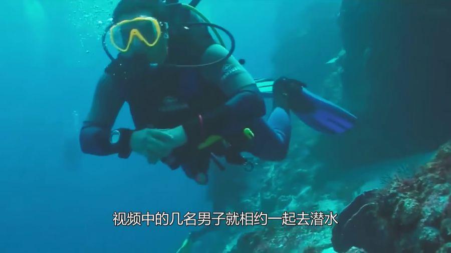 营救小乌龟