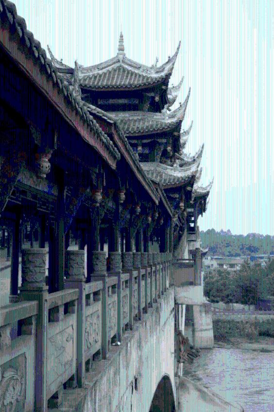 逃出小象森林